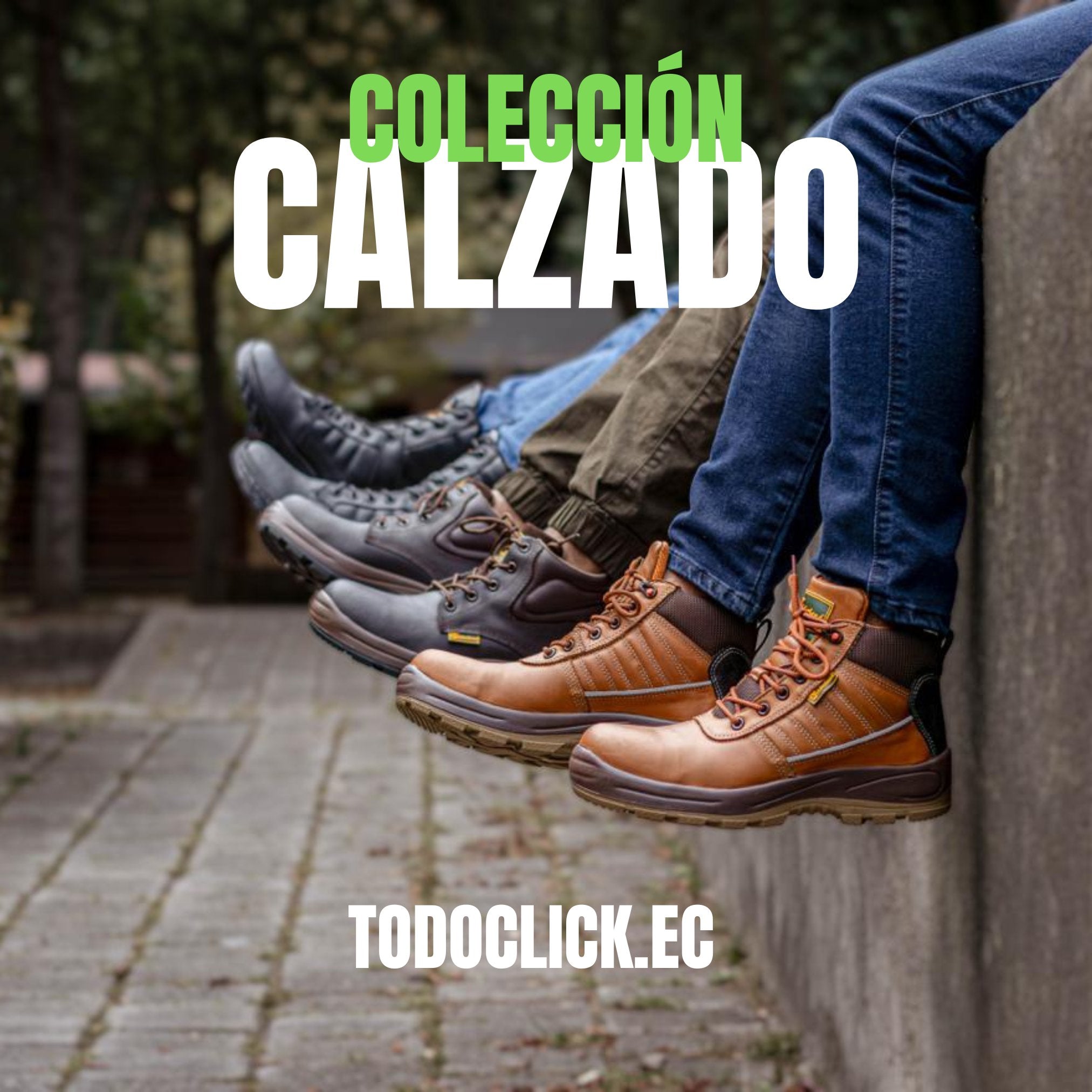 CALZADO