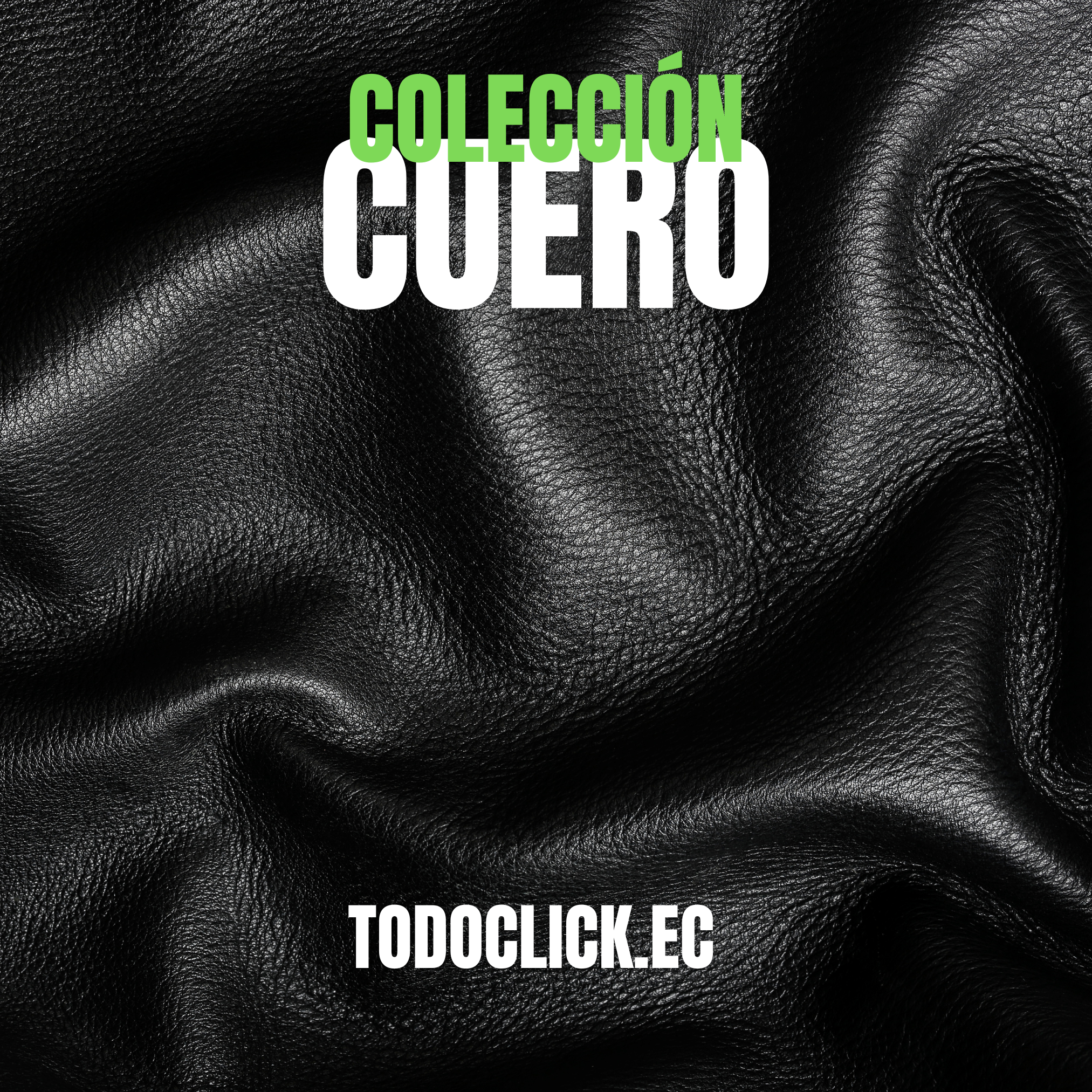 ARTICULOS DE CUERO - TODOCLICK.EC